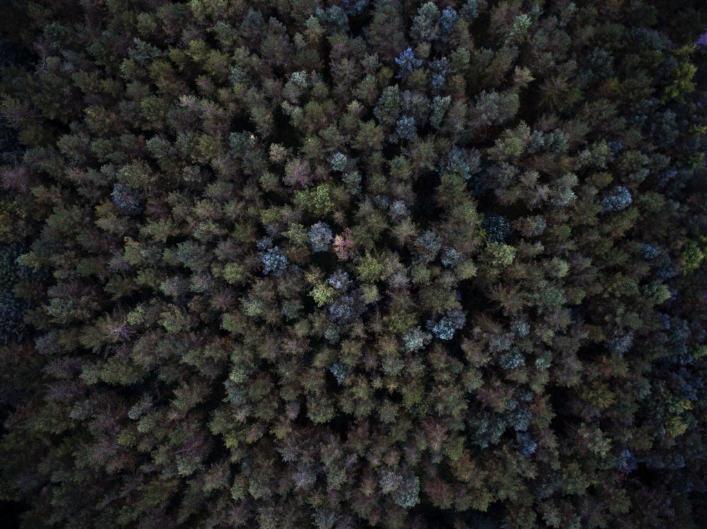 photo-1505122326541-c5dfd544e7c6